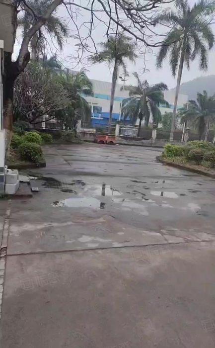 台湾房东，清溪镇单一层钢构厂房出租，滴水8米，6000平方