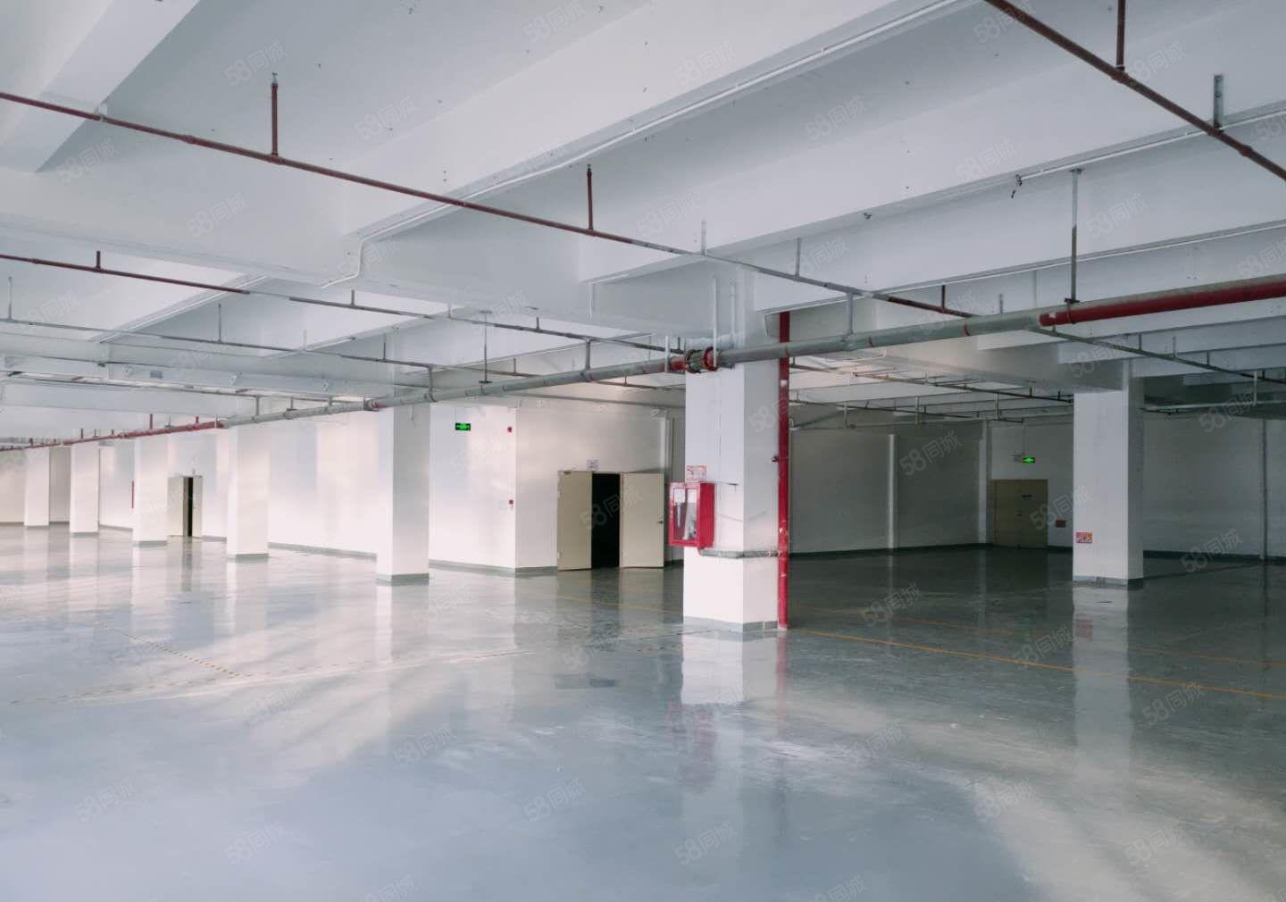 清溪大浦工业区原房东独院2000平红本楼上仓库厂房出租可分租