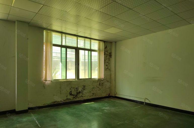 低价标准厂房一楼18块，层高5米。大小可分租！