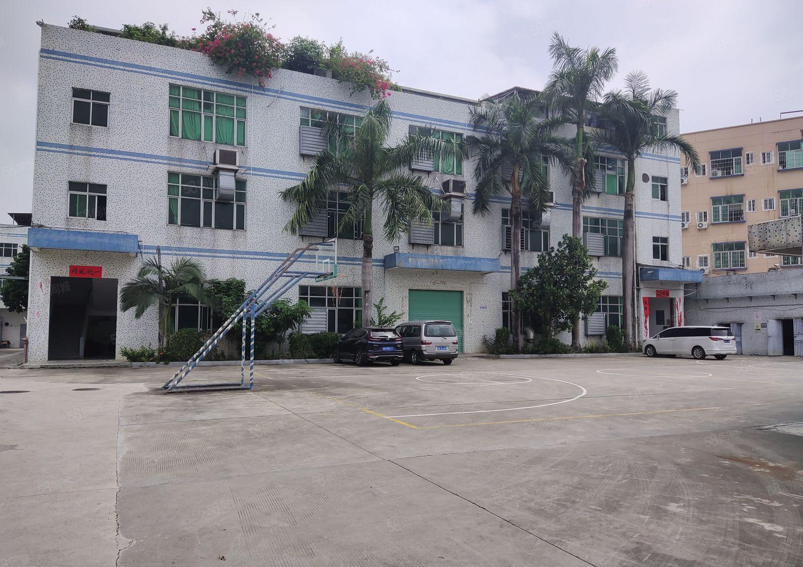 清溪三中工业区一楼2百5百8百1千平红本独院仓库厂房出租分租