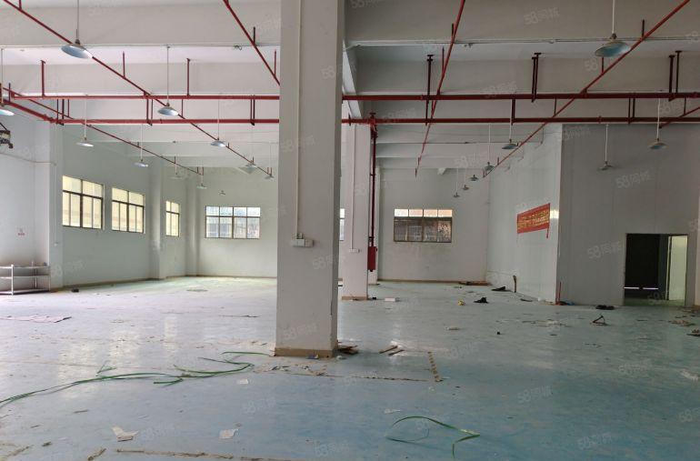 清溪厦坭楼上600平现成装修可拎包生产