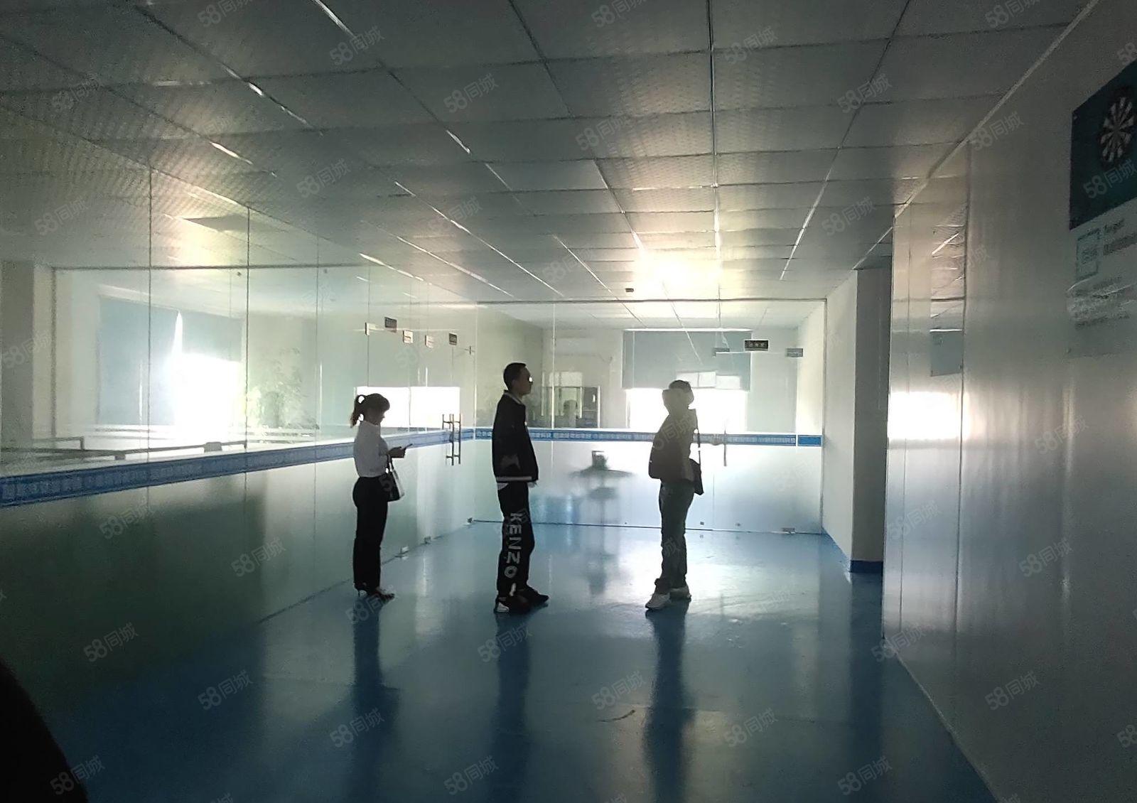 清溪镇中心新空楼上600平方现成豪华装修水电齐全厂房出租