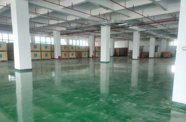 低价，清溪谢坑3000平方红本物流仓库出租1000平方起分租