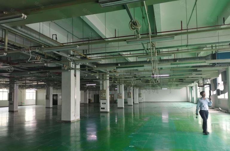 200平起租清溪三中原房东厂房出租带精装修可办环评