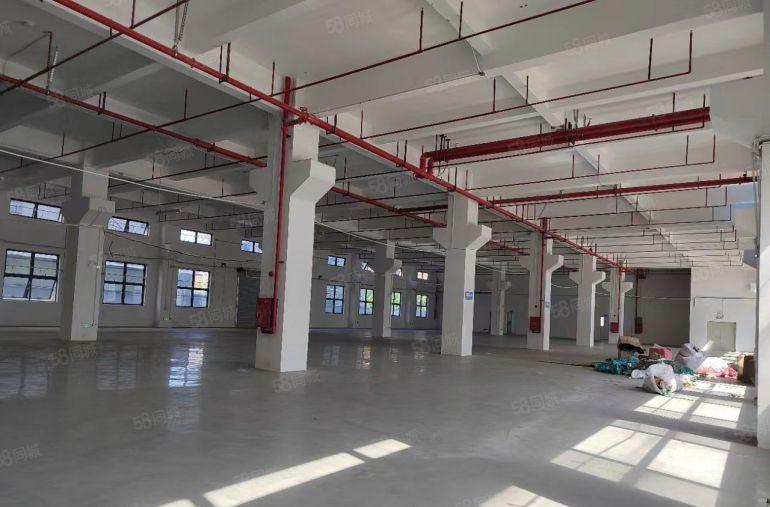 原房东直租！清溪高速出口一楼2000平楼上2000平厂房出租
