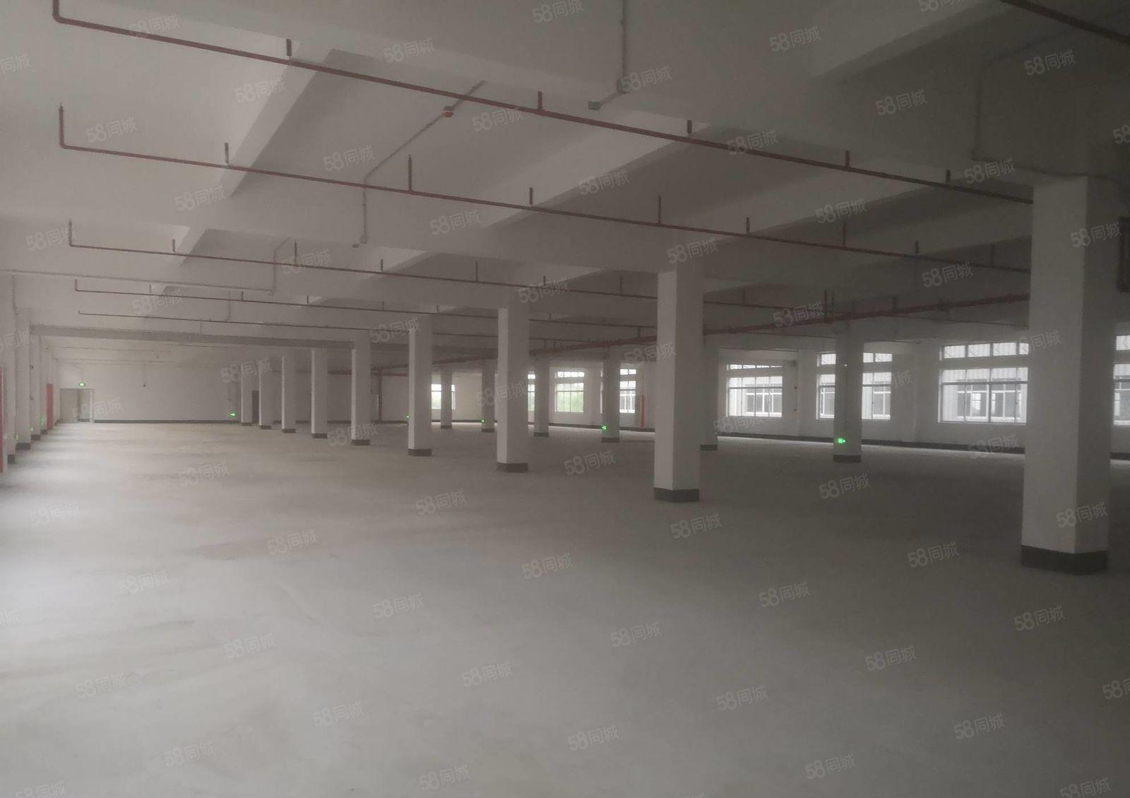 清溪镇全新标准厂房独院50000平出租 园区形象好带红本可分