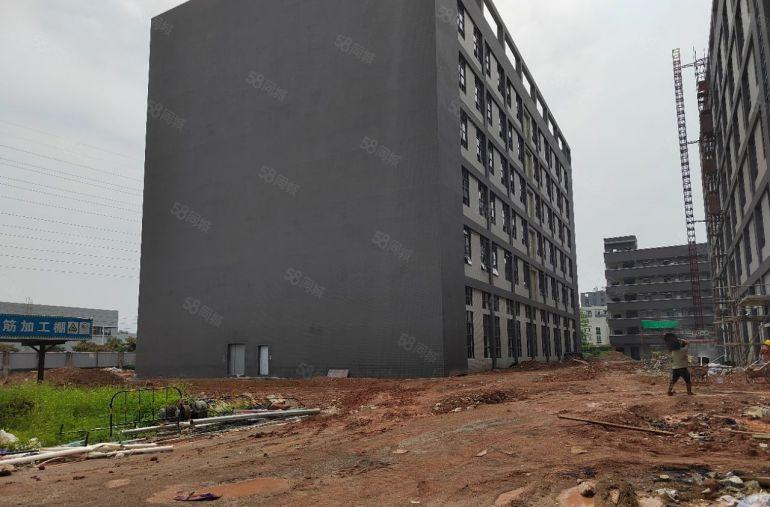 清溪青皇高速路口全新红本独院50000平厂房出租可分租