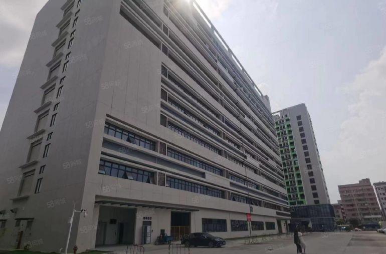 原房东实际面积直租！清溪新出50000平独门独院厂房仓库出租