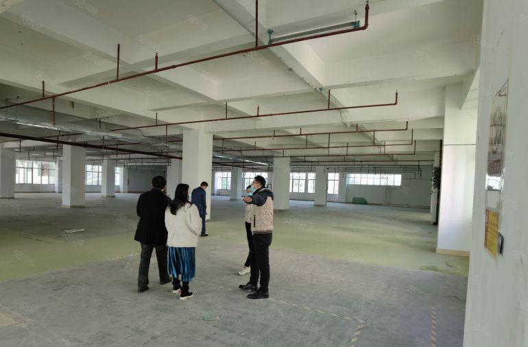 100平起分清溪三中工业区厂房出租一楼仓库招租9元厂房出租合