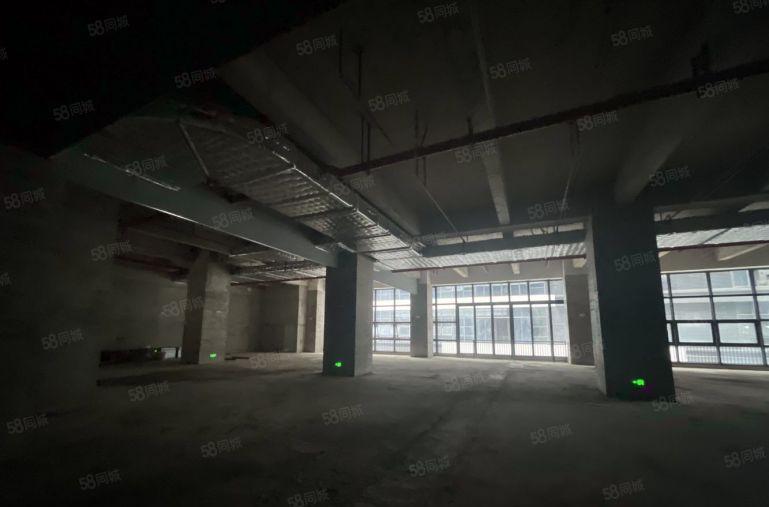 东莞雁田京东智谷 全新园区厂房500平以上招租 免租长可装修