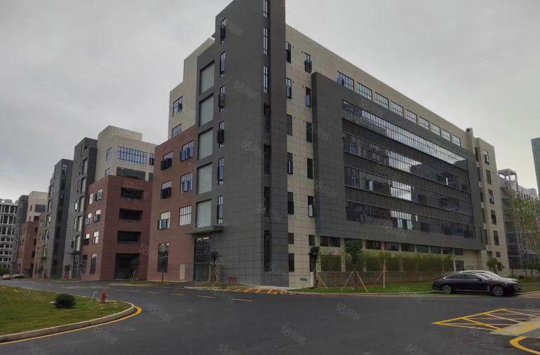 高新产业园，国有红本双证齐全，整层2500平，可分租！