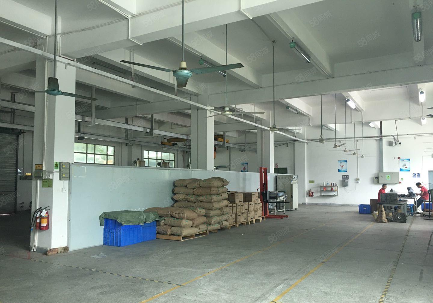 清溪三中工业区一楼2百5百8百1千平红本独院仓库厂房出租分租