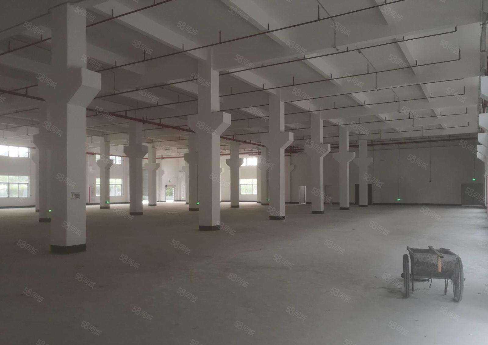 清溪镇全新标准厂房独院50000平出租 园区形象好带红本可分