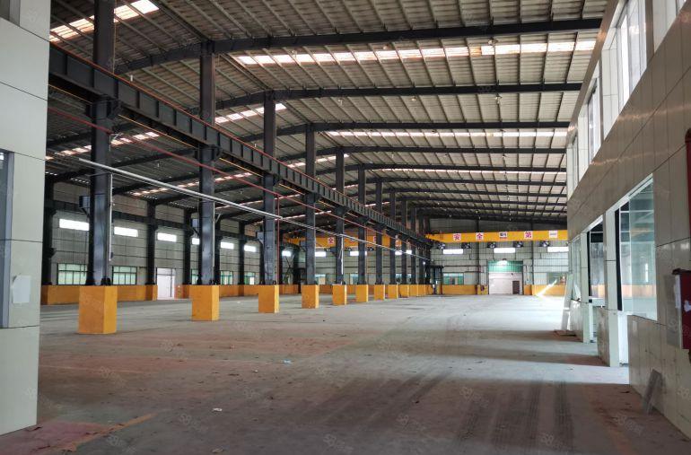 清溪新出6500平超靓钢构独院厂房出租，高9米精装办公