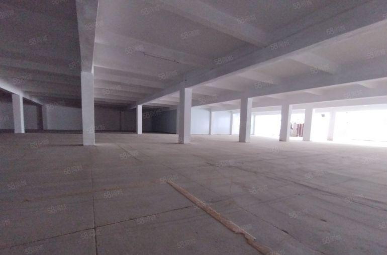 原房东全新一楼标准厂房低价出租可做电池