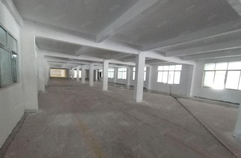 原房东全新一楼标准厂房低价出租可做电池