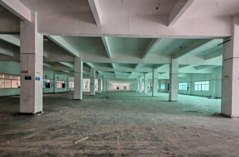 13块租清溪三中原房东9800平独院300平起分实际面积出租