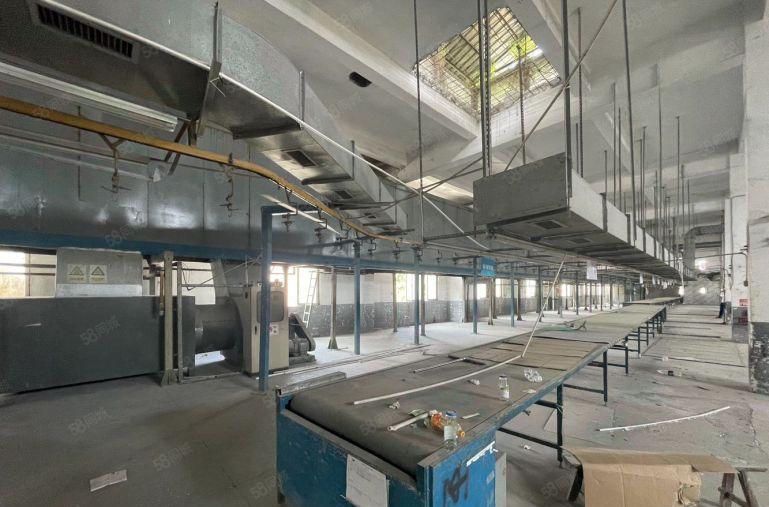 清溪带环评厂房出租，位置佳易招工！