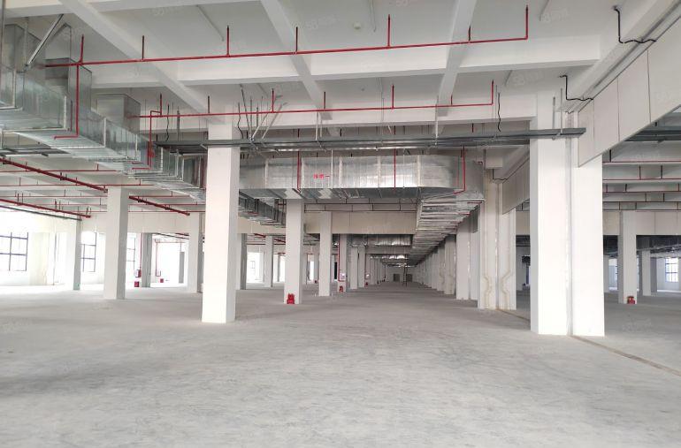 清溪物流仓库45000平单层面积15000平厂房3层空地大