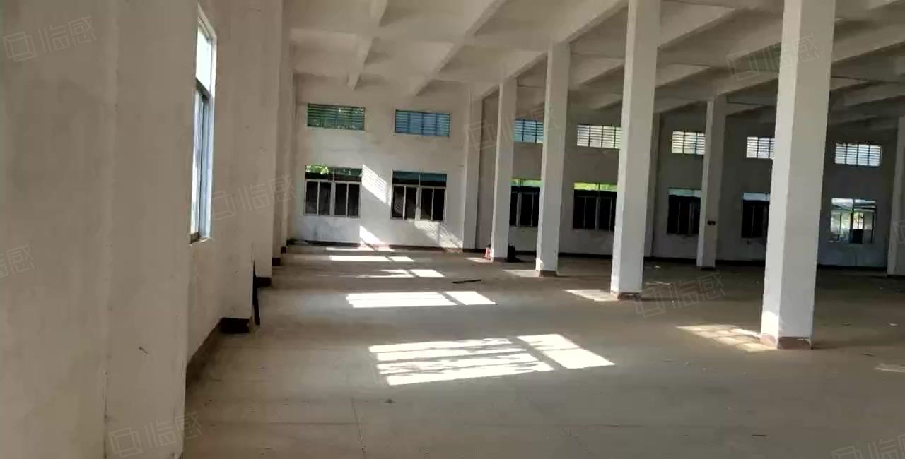 清溪三中高速口新出独院厂房8000平出租 可分租