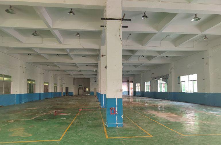 清溪镇三中村 新出标准一楼1180平厂房出租 带装修办公室