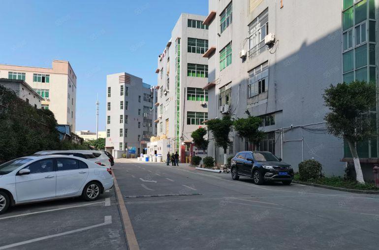 200平起租清溪三中原房东厂房出租带精装修可办环评