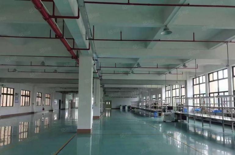 清溪三中低价10元二三楼各1500平带精装办公室厂房低价出租