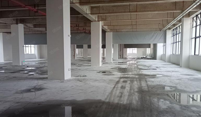 本地房东，清溪镇带液压卸货平台厂房出租，单层6300平方。