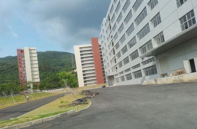 15块起租清溪三中高速口大型园区8万平一手房东直租，大小可分