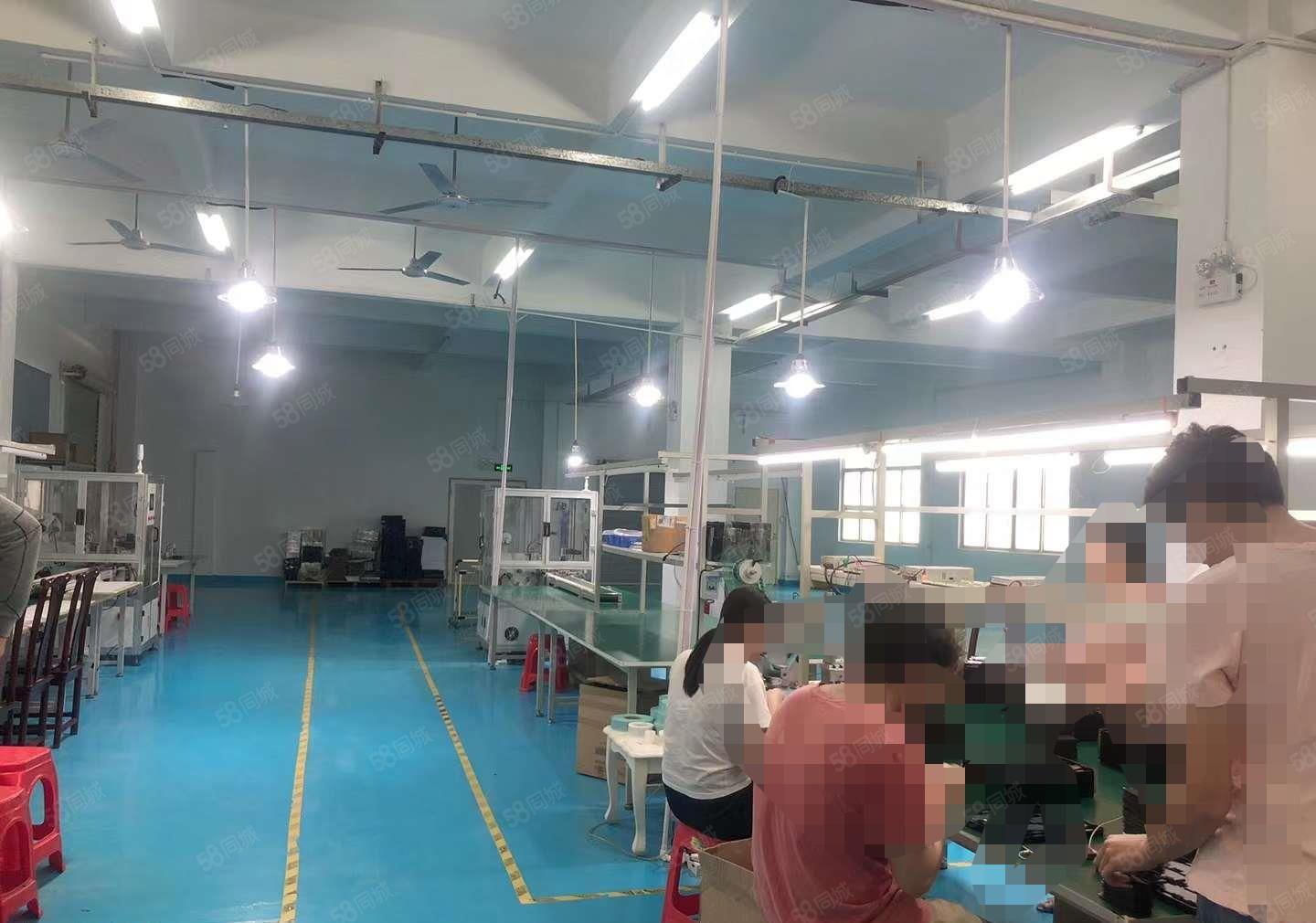 清溪上元，分租楼上整层1300平 适电子装配 手袋 电商仓库