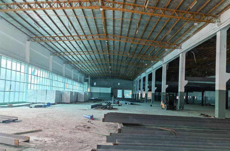 台湾房东，清溪镇单一层钢构厂房出租，滴水8米，6000平方