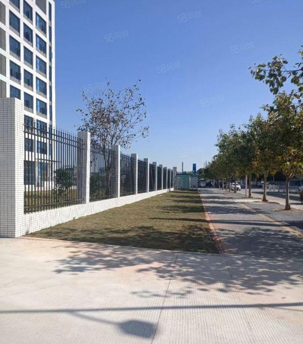 清溪临深片区原房东2000平现成装修水电齐全全新标准厂房出租