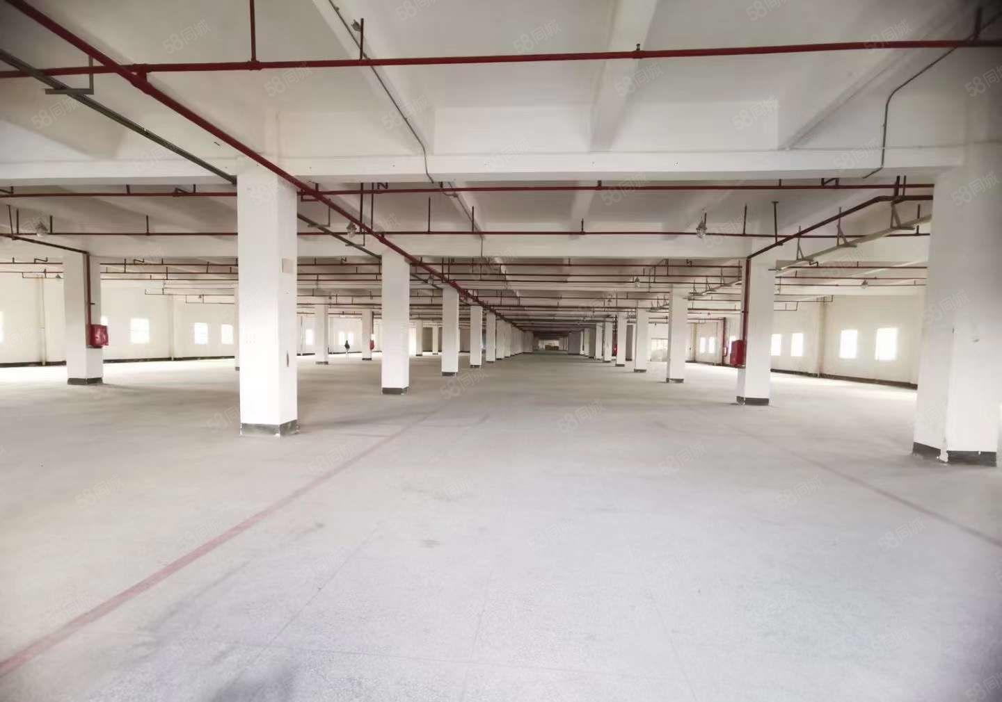 有国有证红本，单层面积大 清溪独院厂房  电商仓库出租3万平