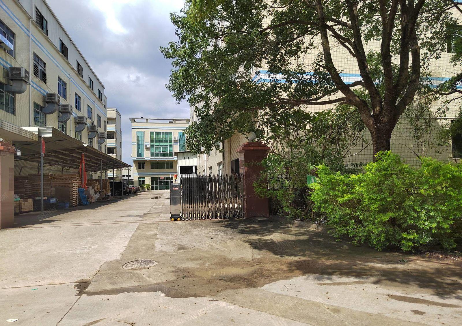 清溪新出原房东独院5000平厂房出租园区空地大可办环评