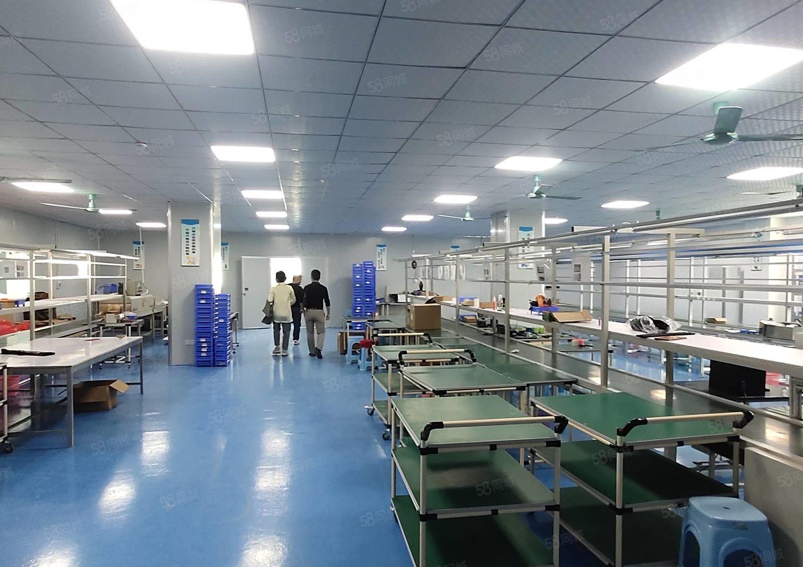 清溪镇中心新空楼上600平方现成豪华装修水电齐全厂房出租