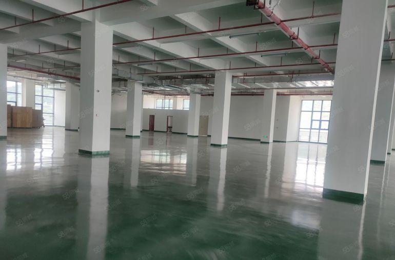 低价，清溪谢坑3000平方红本物流仓库出租1000平方起分租