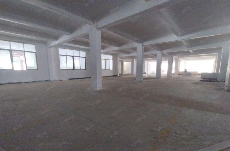 原房东全新一楼标准厂房低价出租可做电池