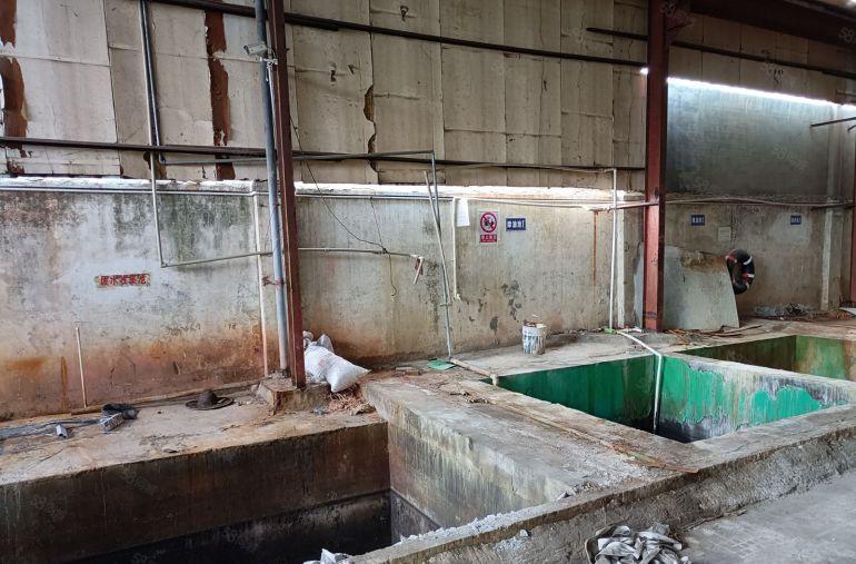 带酸洗，碱洗，喷油环评，小独院厂房出租，带牛腿，罗马村原房东