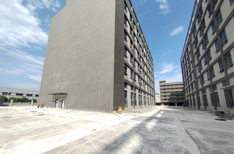 清溪镇原房东全新一楼3000平米厂房出租，带牛腿，层高7米