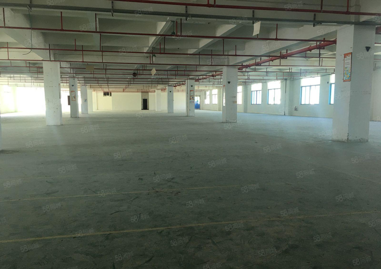 清溪大浦工业区一楼2百5百8百1千平红本独院仓库厂房出租分租