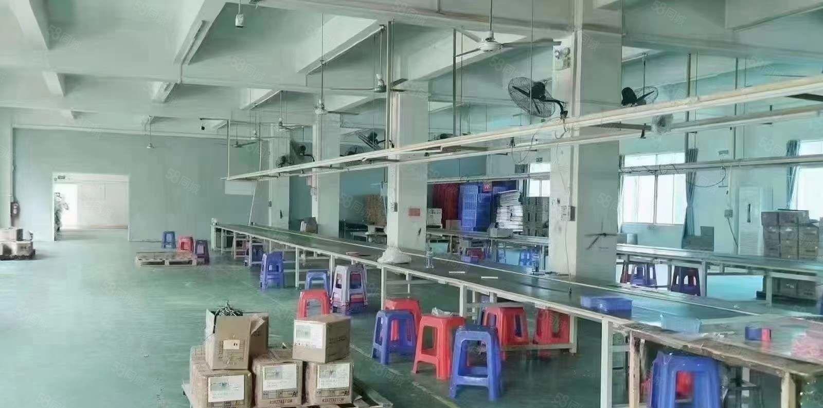 原房东出租清溪三中独门独院厂房3000平方 精装修 价格优惠