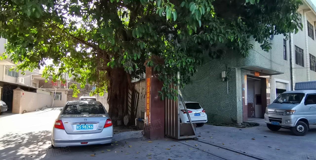 清溪大浦工业区独栋2百5百8百1千平红本标准仓库厂房出租分租