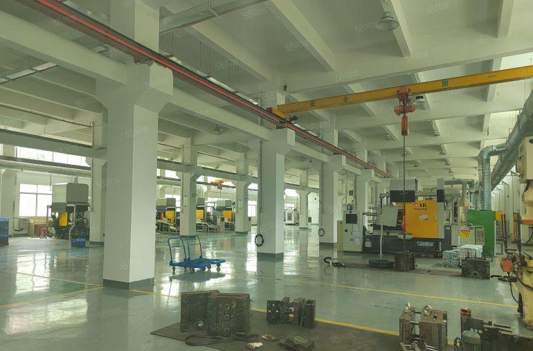 清溪镇三中村 标准独院厂房10000平出租带装修办公室空地大