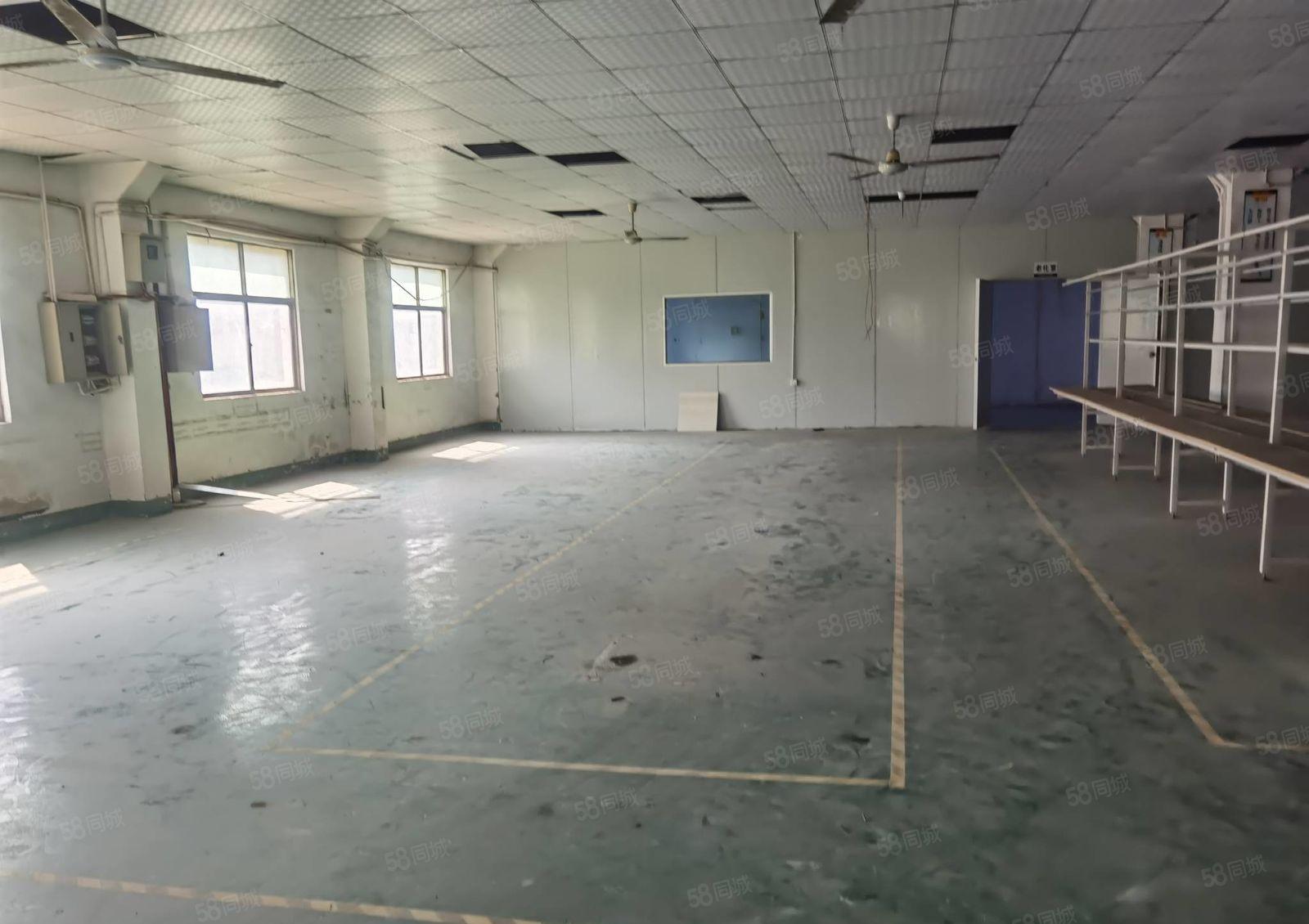 清溪镇三中村标准厂房二楼1200平方出租水电齐全精装修办公室