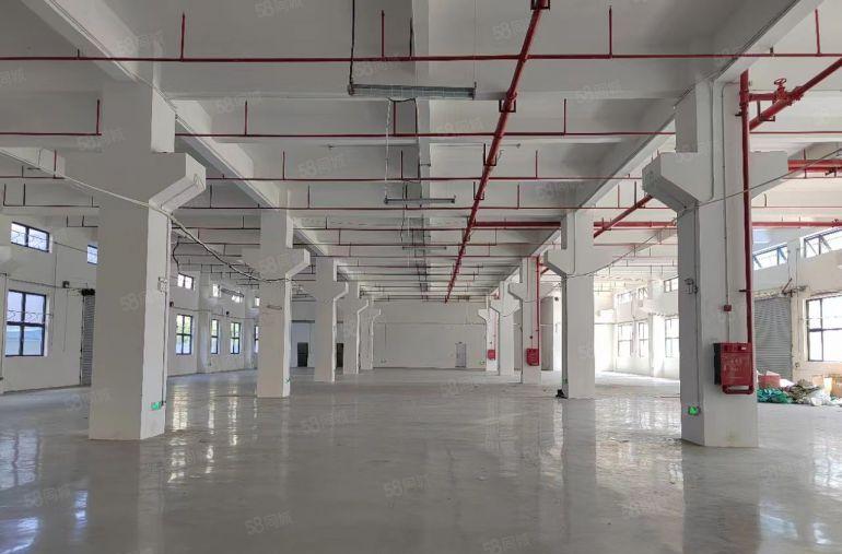 原房东直租！清溪高速出口一楼2000平楼上2000平厂房出租