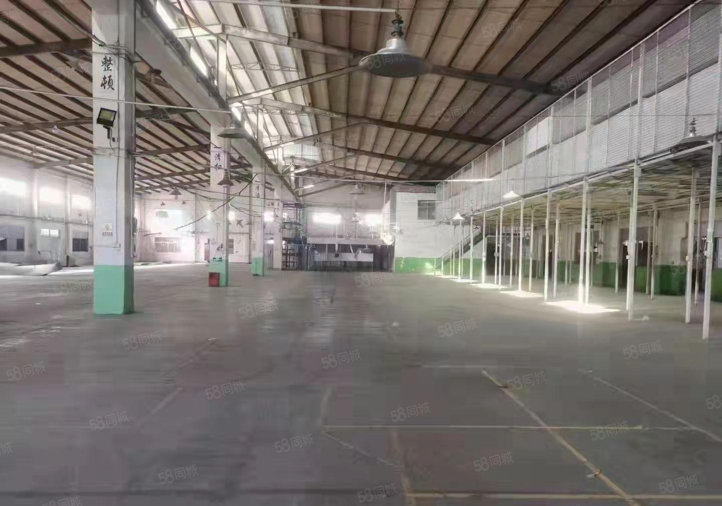 东莞清溪罗马新出独院钢构厂房3600平米出租