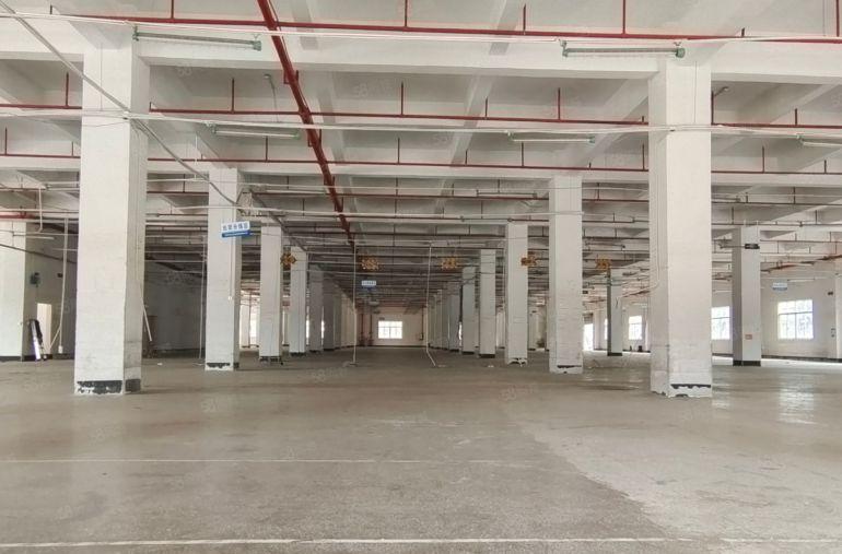 清溪全新重工业厂房3万方，消防，环评均有，可任意分租