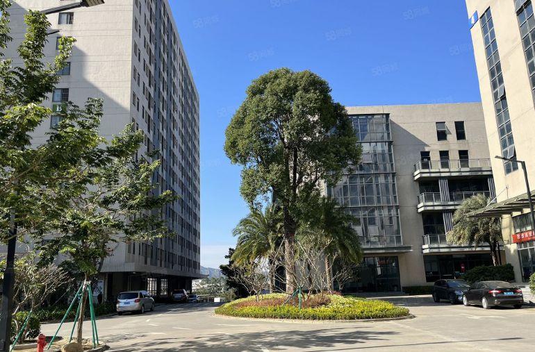 低价！临深2万平高新工业园火爆招商，可分租，上市公司形象