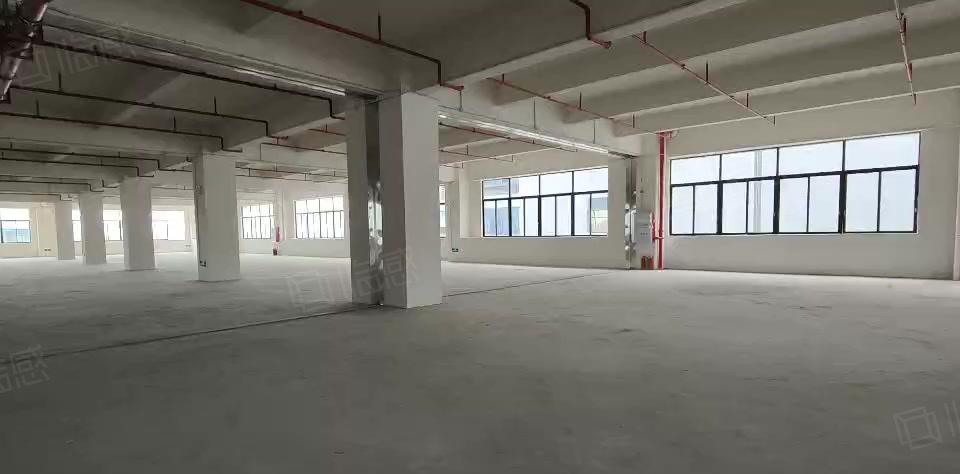 清溪镇原房东独门独院标准厂房出租，园区证件齐全，超大空地