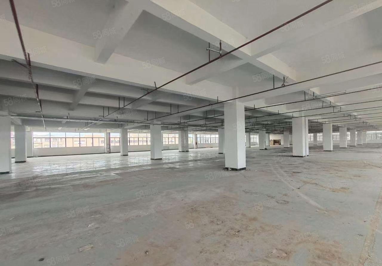 清溪大埔新出原房东18400平方重工业厂房大小分租